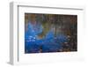 Fall foliage reflection in lake water-Anna Miller-Framed Photographic Print