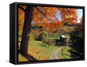 Fall Foliage, Vermont, USA-Gavin Hellier-Framed Stretched Canvas