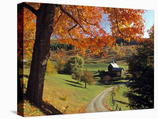 Fall Foliage, Vermont, USA-Gavin Hellier-Stretched Canvas