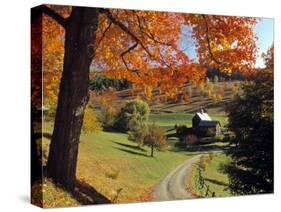 Fall Foliage, Vermont, USA-Gavin Hellier-Stretched Canvas