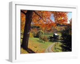 Fall Foliage, Vermont, USA-Gavin Hellier-Framed Photographic Print