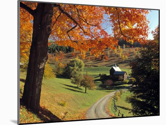 Fall Foliage, Vermont, USA-Gavin Hellier-Mounted Photographic Print