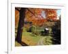 Fall Foliage, Vermont, USA-Gavin Hellier-Framed Photographic Print