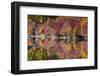 Fall foliage, White River Area, Wenatchee National Forest, WA.-Michel Hersen-Framed Photographic Print