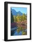 Fall foliage, White River Area, Wenatchee National Forest, WA.-Michel Hersen-Framed Photographic Print