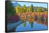 Fall foliage, White River Area, Wenatchee National Forest, WA.-Michel Hersen-Framed Stretched Canvas
