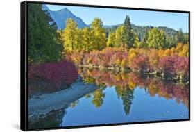 Fall foliage, White River Area, Wenatchee National Forest, WA.-Michel Hersen-Framed Stretched Canvas