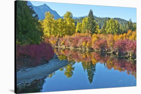 Fall foliage, White River Area, Wenatchee National Forest, WA.-Michel Hersen-Stretched Canvas