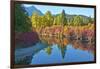 Fall foliage, White River Area, Wenatchee National Forest, WA.-Michel Hersen-Framed Photographic Print