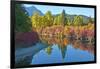 Fall foliage, White River Area, Wenatchee National Forest, WA.-Michel Hersen-Framed Photographic Print