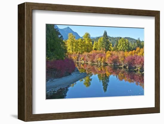 Fall foliage, White River Area, Wenatchee National Forest, WA.-Michel Hersen-Framed Photographic Print