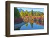 Fall foliage, White River Area, Wenatchee National Forest, WA.-Michel Hersen-Framed Photographic Print