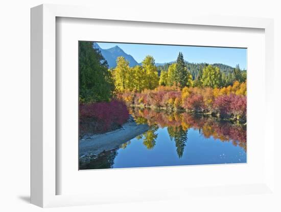 Fall foliage, White River Area, Wenatchee National Forest, WA.-Michel Hersen-Framed Photographic Print