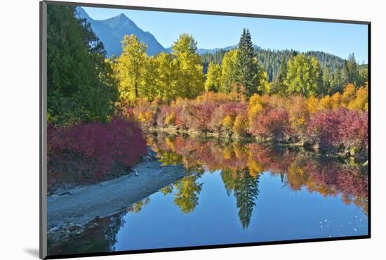 Fall foliage, White River Area, Wenatchee National Forest, WA.-Michel Hersen-Mounted Photographic Print