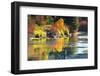 Fall foliage, White River Area, Wenatchee National Forest, WA.-Michel Hersen-Framed Photographic Print