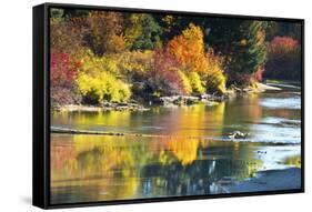 Fall foliage, White River Area, Wenatchee National Forest, WA.-Michel Hersen-Framed Stretched Canvas