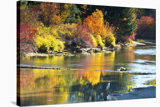 Fall foliage, White River Area, Wenatchee National Forest, WA.-Michel Hersen-Stretched Canvas