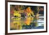 Fall foliage, White River Area, Wenatchee National Forest, WA.-Michel Hersen-Framed Photographic Print