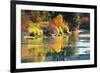 Fall foliage, White River Area, Wenatchee National Forest, WA.-Michel Hersen-Framed Photographic Print