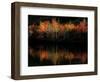 Fall Foliage with Reflections, New Hampshire, USA-Joanne Wells-Framed Photographic Print