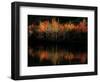 Fall Foliage with Reflections, New Hampshire, USA-Joanne Wells-Framed Photographic Print