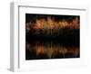 Fall Foliage with Reflections, New Hampshire, USA-Joanne Wells-Framed Photographic Print