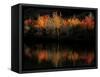Fall Foliage with Reflections, New Hampshire, USA-Joanne Wells-Framed Stretched Canvas