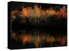 Fall Foliage with Reflections, New Hampshire, USA-Joanne Wells-Stretched Canvas