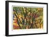 Fall Foliage-Donald Paulson-Framed Giclee Print