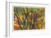 Fall Foliage-Donald Paulson-Framed Giclee Print