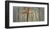 Fall Foliage-Seth Garrett-Framed Art Print