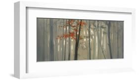 Fall Foliage-Seth Garrett-Framed Art Print