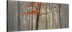 Fall Foliage-Seth Garrett-Stretched Canvas