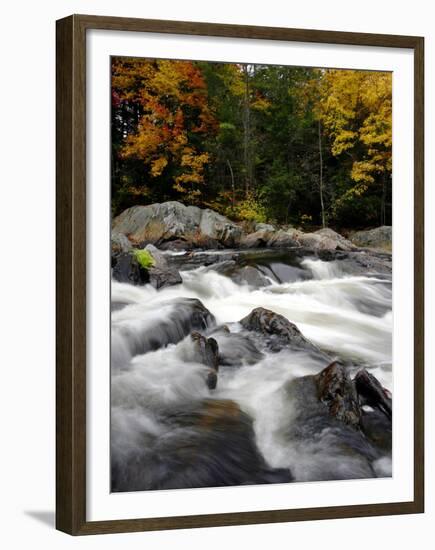 Fall Foliage-Jim Cole-Framed Premium Photographic Print