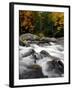 Fall Foliage-Jim Cole-Framed Premium Photographic Print