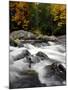 Fall Foliage-Jim Cole-Mounted Premium Photographic Print