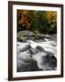 Fall Foliage-Jim Cole-Framed Premium Photographic Print