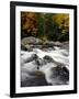 Fall Foliage-Jim Cole-Framed Premium Photographic Print