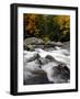 Fall Foliage-Jim Cole-Framed Photographic Print