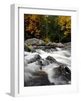 Fall Foliage-Jim Cole-Framed Photographic Print