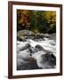 Fall Foliage-Jim Cole-Framed Photographic Print