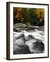 Fall Foliage-Jim Cole-Framed Photographic Print