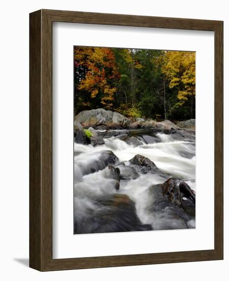 Fall Foliage-Jim Cole-Framed Photographic Print