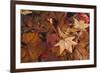 Fall foliage-Anna Miller-Framed Photographic Print