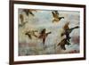 Fall Forecast-Farrell Douglass-Framed Giclee Print