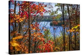 Fall Forest Framing Scenic Autumn Lake View from Lookout Trail in Algonquin Park, Ontario, Canada.-elenathewise-Stretched Canvas