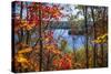 Fall Forest Framing Scenic Autumn Lake View from Lookout Trail in Algonquin Park, Ontario, Canada.-elenathewise-Stretched Canvas