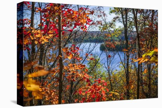 Fall Forest Framing Scenic Autumn Lake View from Lookout Trail in Algonquin Park, Ontario, Canada.-elenathewise-Stretched Canvas