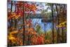 Fall Forest Framing Scenic Autumn Lake View from Lookout Trail in Algonquin Park, Ontario, Canada.-elenathewise-Mounted Photographic Print
