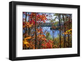 Fall Forest Framing Scenic Autumn Lake View from Lookout Trail in Algonquin Park, Ontario, Canada.-elenathewise-Framed Photographic Print